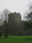 24791 Blarney Castle North Wall.jpg
